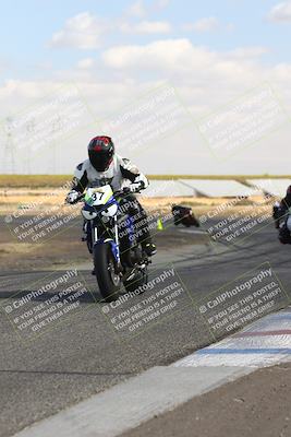 media/Nov-03-2024-TrackDaz (Sun) [[44580f4982]]/B Group/1220pm (Wheelie Bump)/